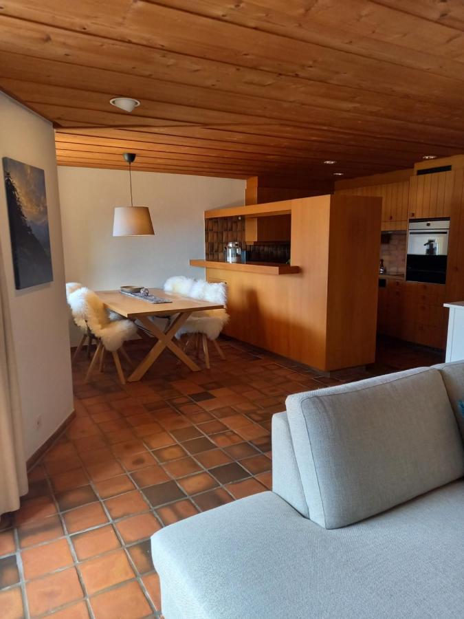 Appartement Aareschlucht- Grandiose Aussicht Fuer 2-6 Pers. Meiringen Exterior photo